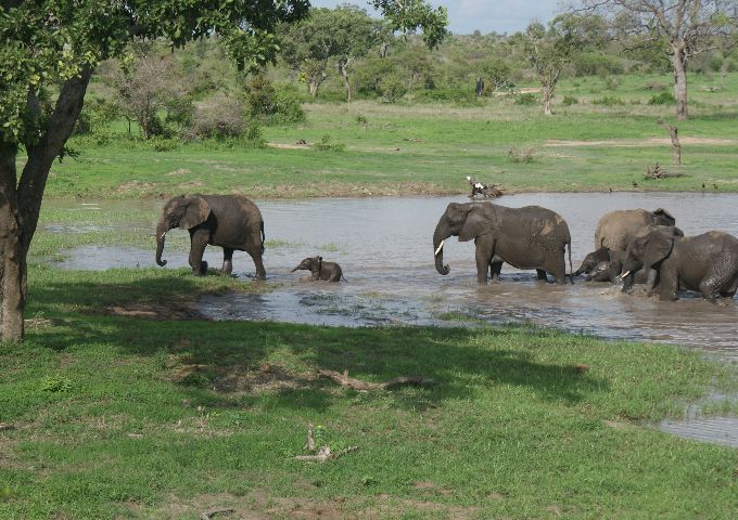2Africa Travel