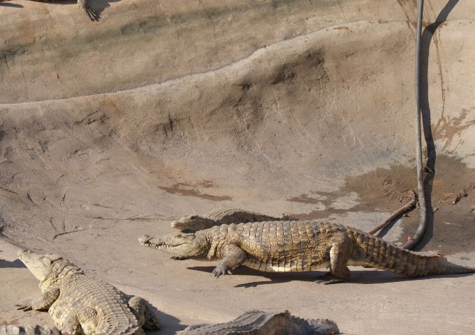 2Africa Travel